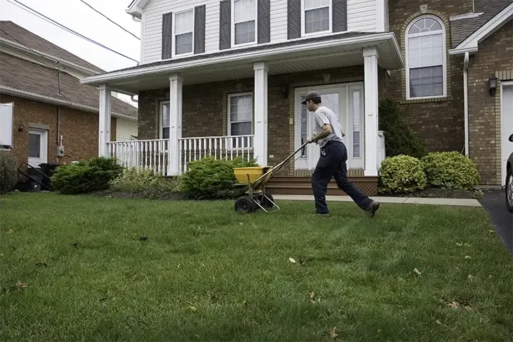 lawn technician
