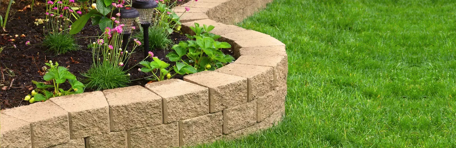 Backyard with healthy green grass
