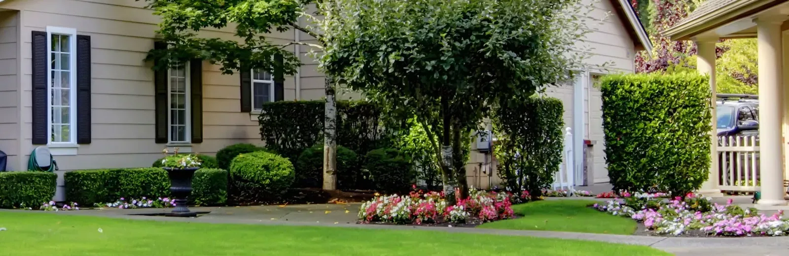 Home with beautiful trees and shrubs