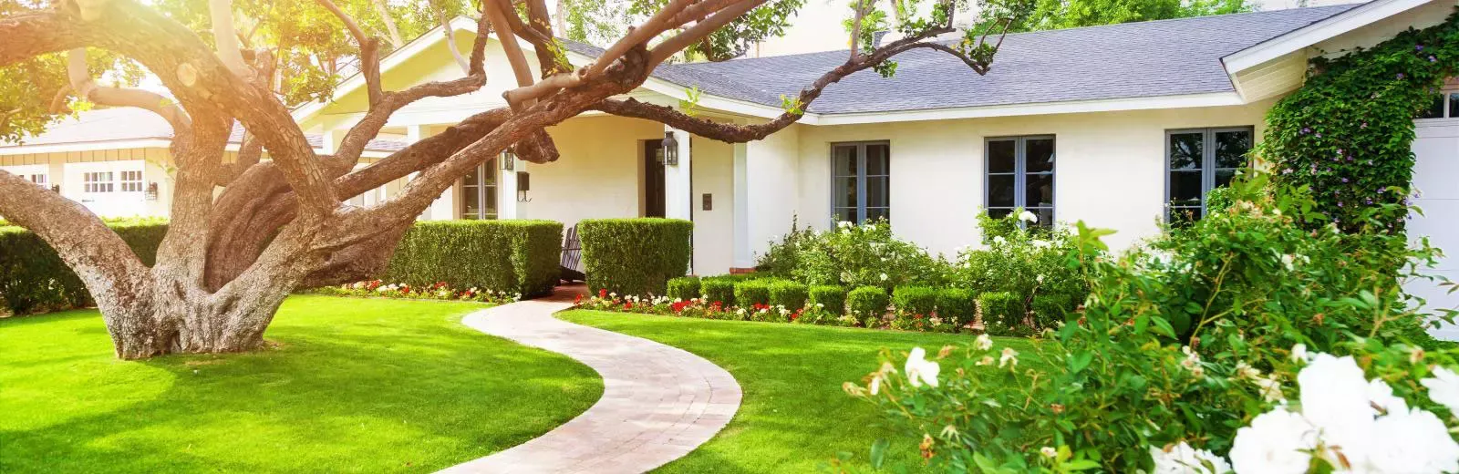 Home with beautiful landscaping