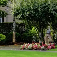 Home with beautiful trees and shrubs