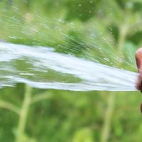 water spraying from a hose onto grass