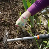 Working in flower bed to pull weeds