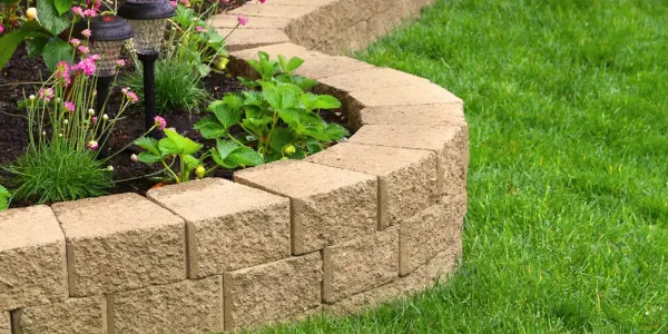 Backyard with healthy green grass